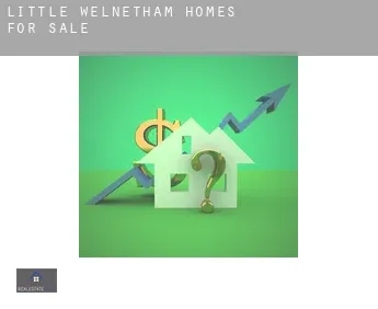 Little Welnetham  homes for sale
