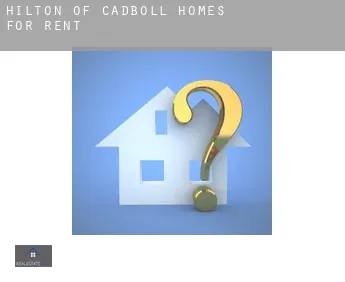Hilton of Cadboll homes for rent