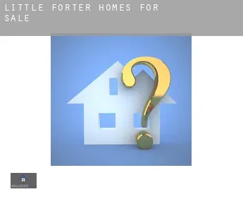 Little Forter  homes for sale