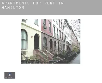 Apartments for rent in  Hamilton