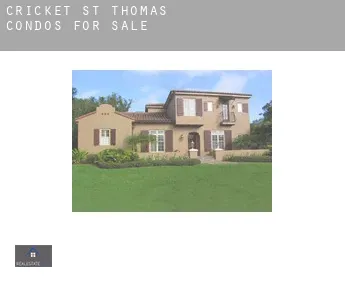Cricket St Thomas  condos for sale