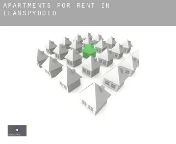 Apartments for rent in  Llanspyddid