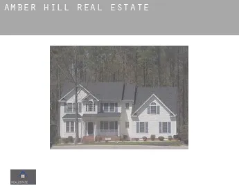 Amber Hill  real estate