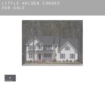 Little Walden  condos for sale