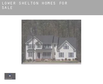Lower Shelton  homes for sale