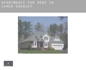 Apartments for rent in  Lower Soudley