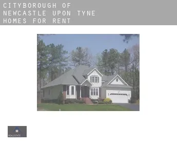 Newcastle upon Tyne (City and Borough)  homes for rent