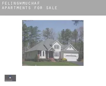 Felingwmuchaf  apartments for sale
