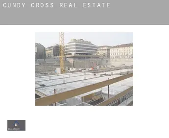 Cundy Cross  real estate