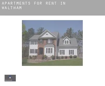 Apartments for rent in  Waltham
