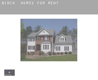 Birch  homes for rent