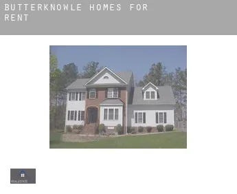 Butterknowle  homes for rent