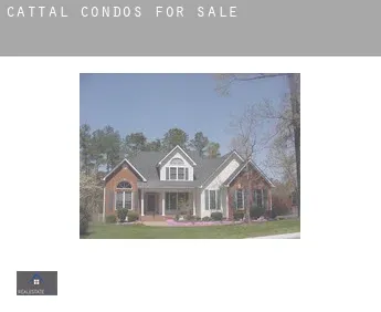Cattal  condos for sale