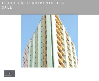 Foxholes  apartments for sale