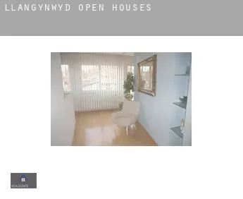 Llangynwyd  open houses